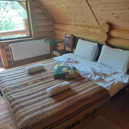 м'ята Mykulytschyn